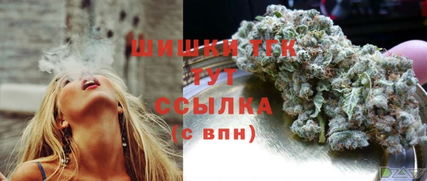 эйфоретик Горняк