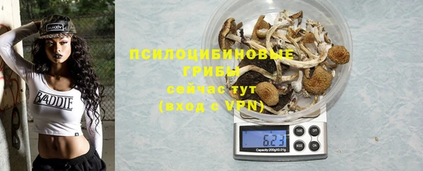гашиш Горнозаводск